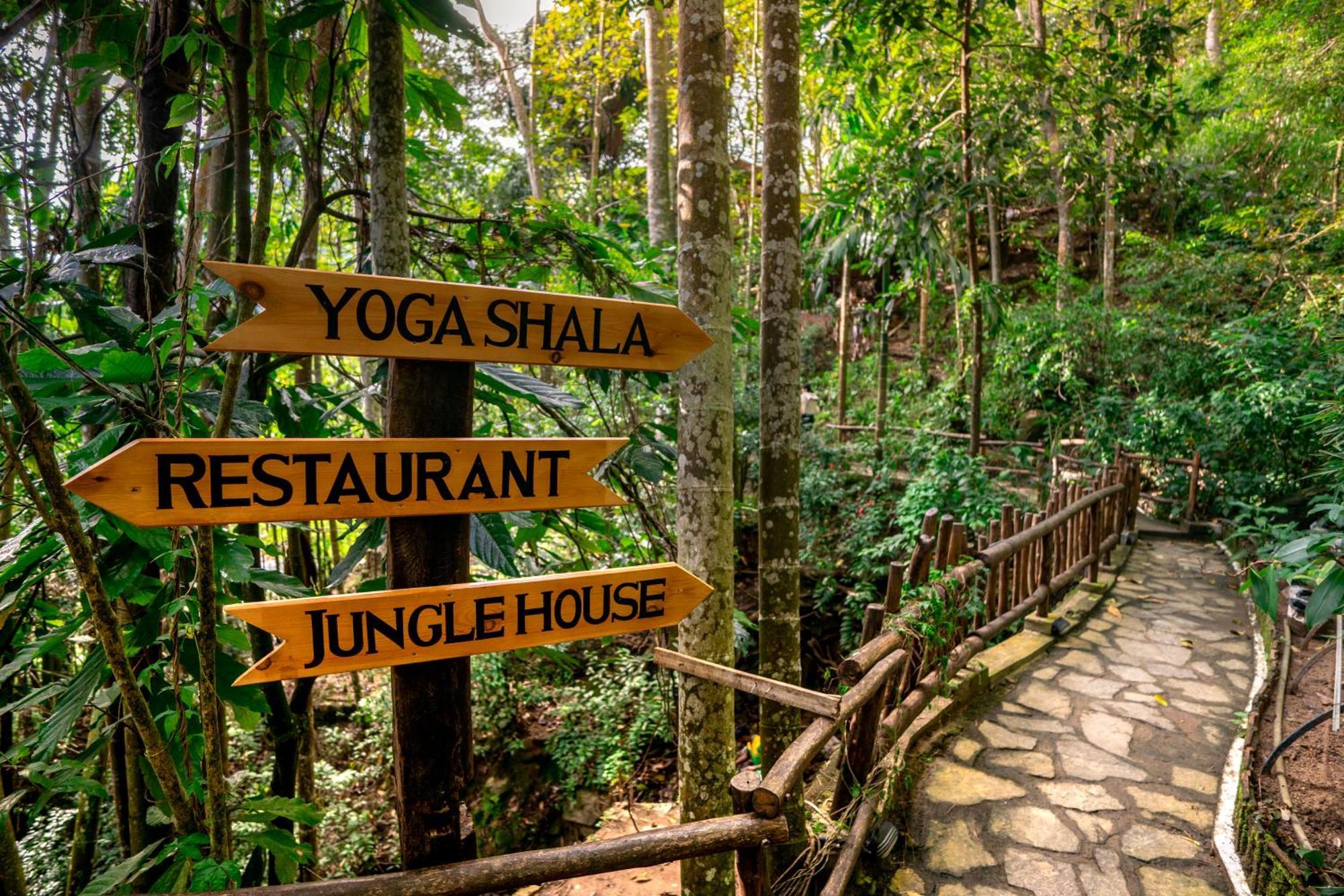 אלה Arana Sri Lanka Eco Lodge And Yoga Center מראה חיצוני תמונה