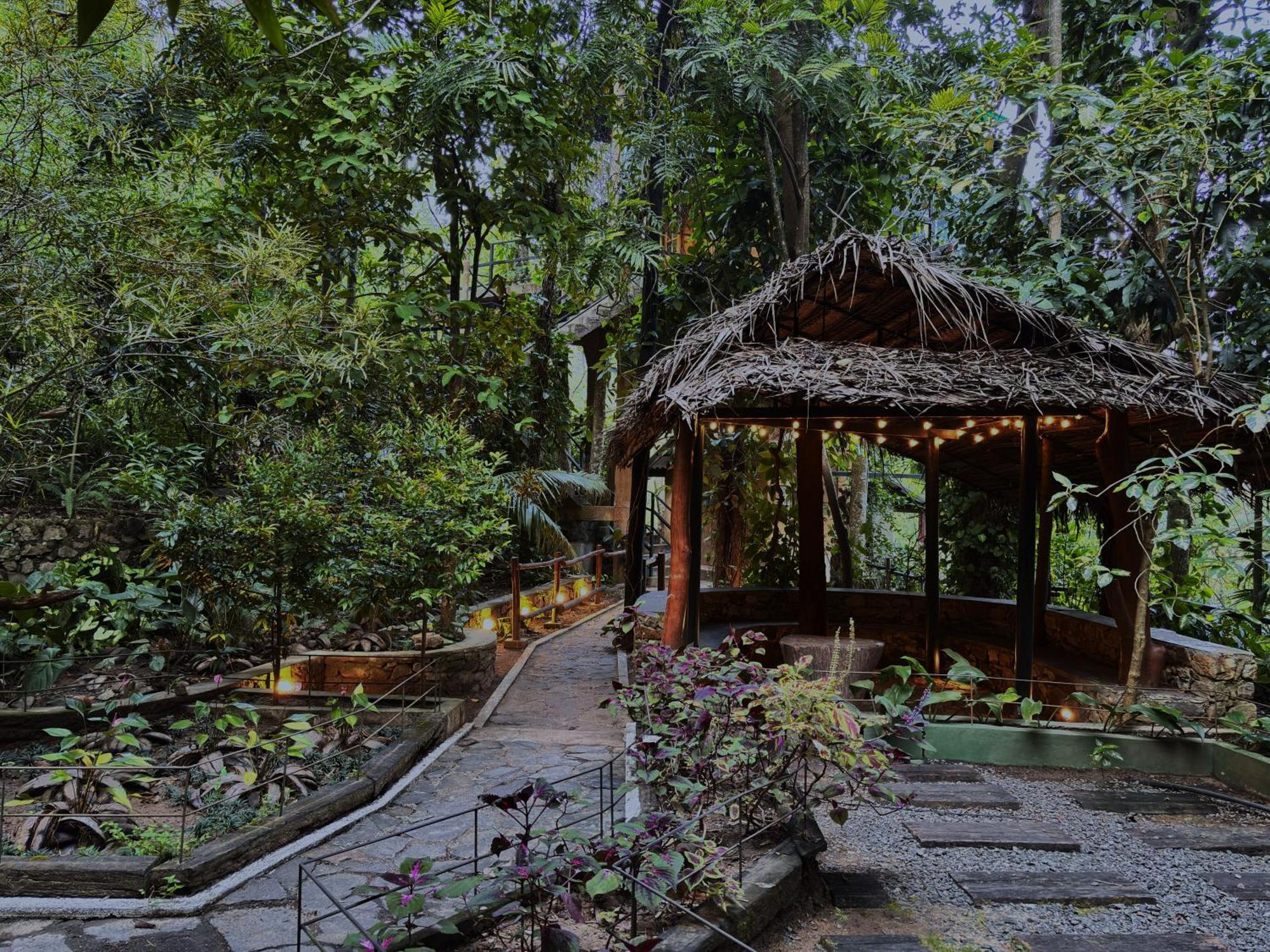 אלה Arana Sri Lanka Eco Lodge And Yoga Center מראה חיצוני תמונה